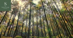 Nikmati-Keindahan-Gunung-Pancar-Sentul-Setiap-Harinya-dari-Rumah-Anda-di-Sanctuary-Sentul