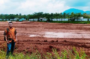 sanctuary collection Newton Springs