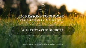 Fantastic Sunrise
